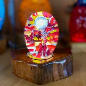 <p>Small Jellyfish<br>Dim: 4.5” tall x 3.5” wide<br> Retail Price: $699.00<br>These are one-of-a-kind pieces. Pictured is the actual art you’ll receive</p>