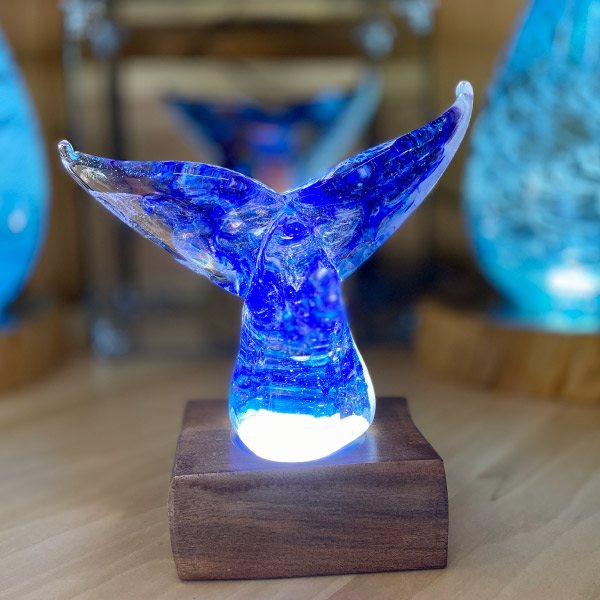 Whale Tail Dim ﻿﻿8” wide x 7.5” tall - Moana Glass